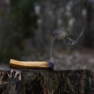 Palo Santo ekologiczne 50g