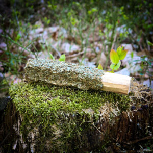 Palo Santo z cedrem